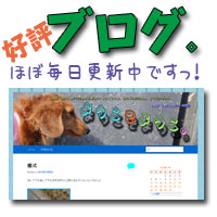 ようこそ、ようこ。ペットシッター・はじめのブログ